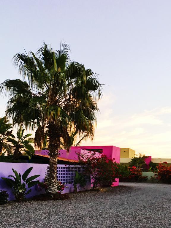 The Hotelito Тодос Сантос Екстериор снимка
